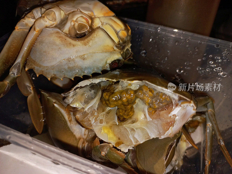 鲜蛋蟹|用鲜蟹烹调海鲜的特写食材